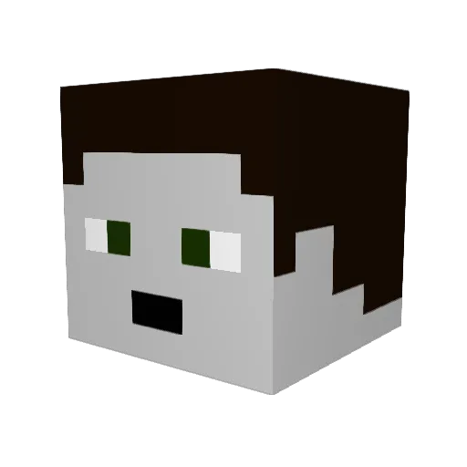 Sweeney9_9 Minecraft avatar head, 3D render