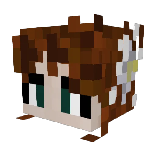 SweetAuntBee Minecraft avatar head, 3D render