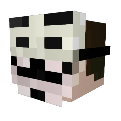 SweetButSour Minecraft avatar head, 3D render