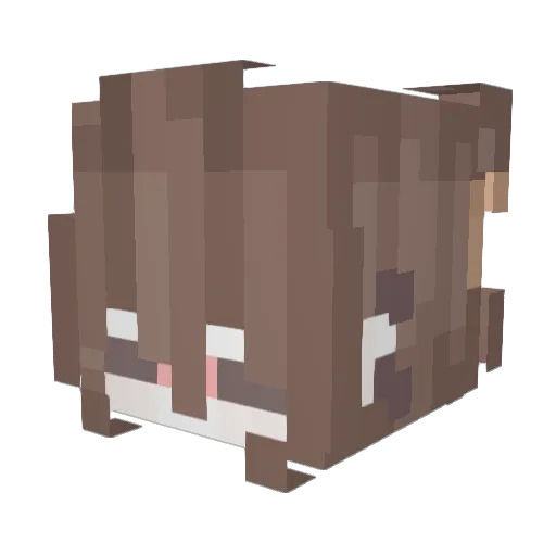 SweetCakeX Minecraft avatar head, 3D render