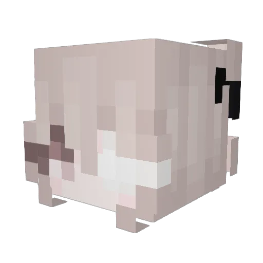 SweetCheese1 Minecraft avatar head, 3D render