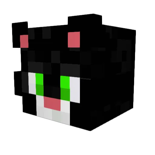 SweetDream1 Minecraft avatar head, 3D render