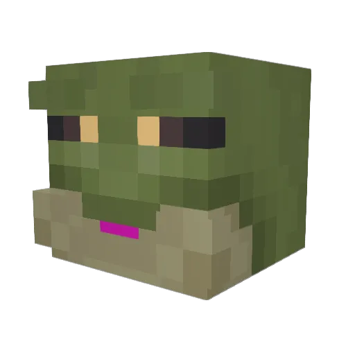 SweetFrog404 Minecraft avatar head, 3D render