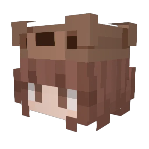 SweetHammer123 Minecraft avatar head, 3D render