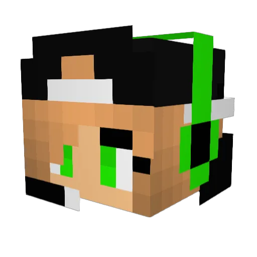 SweetKnight805 Minecraft avatar head, 3D render