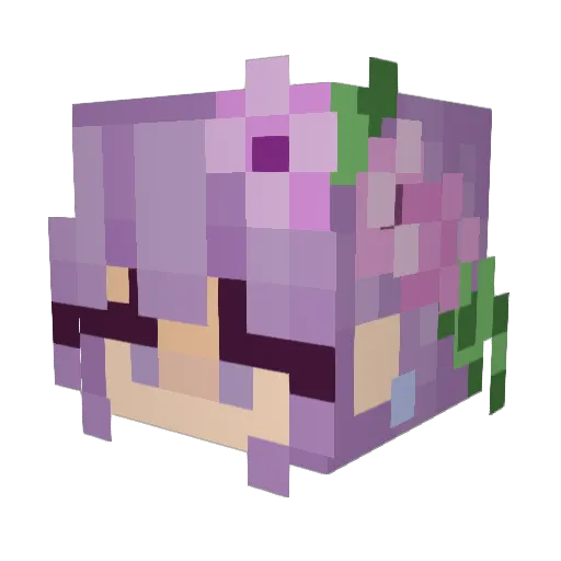 SweetLani9 Minecraft avatar head, 3D render