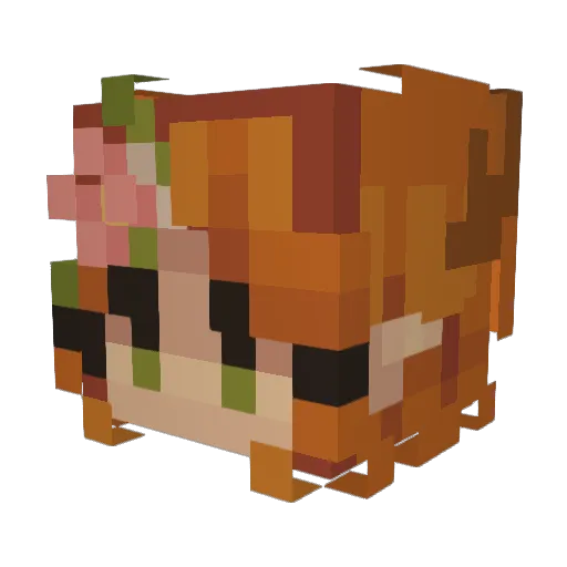 SweetLeah123 Minecraft avatar head, 3D render