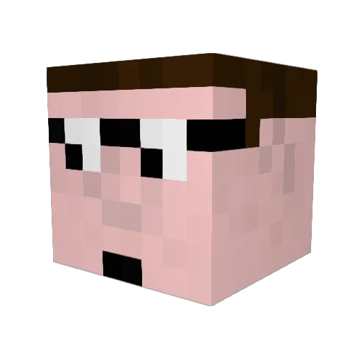 SweetNinja21 Minecraft avatar head, 3D render