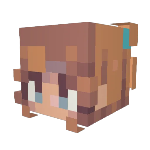 SweetPassion12 Minecraft avatar head, 3D render