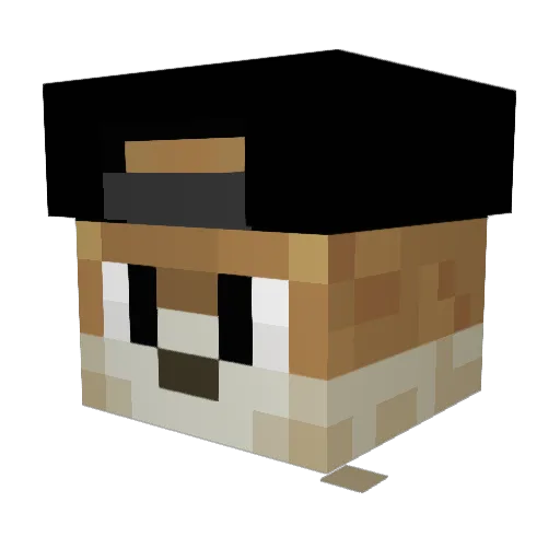 SweetPiotrek Minecraft avatar head, 3D render
