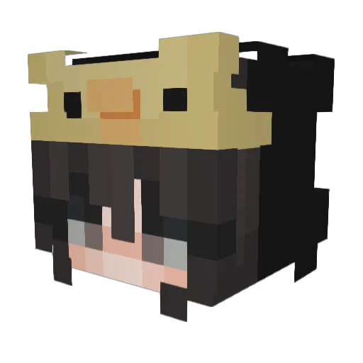 SweetSnofi Minecraft avatar head, 3D render