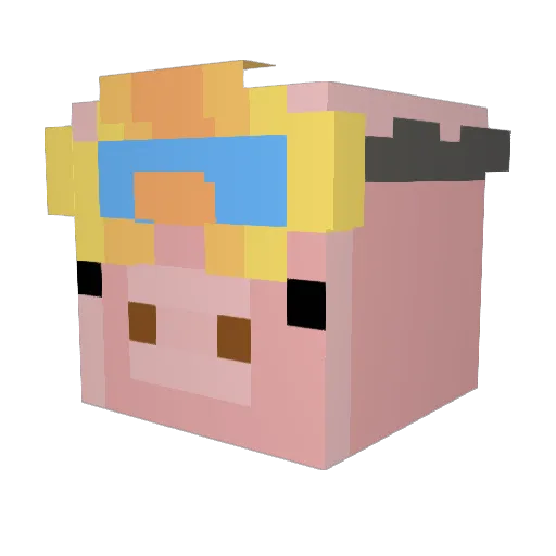 SweetSourPork Minecraft avatar head, 3D render