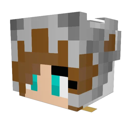 Sweet_Angel_95 Minecraft avatar head, 3D render