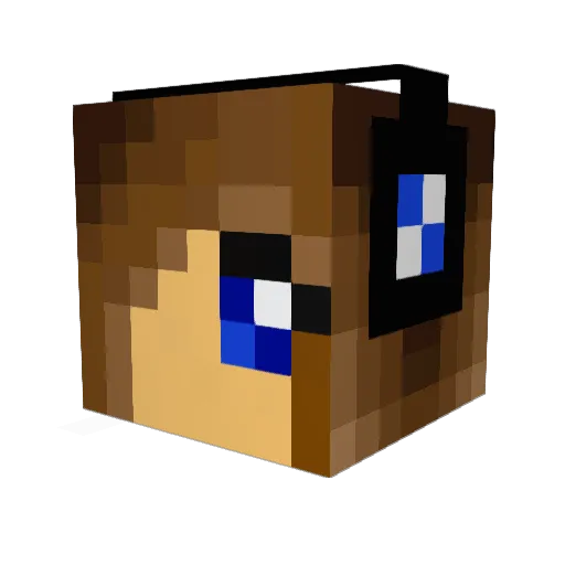 Sweet_Cupcakes Minecraft avatar head, 3D render