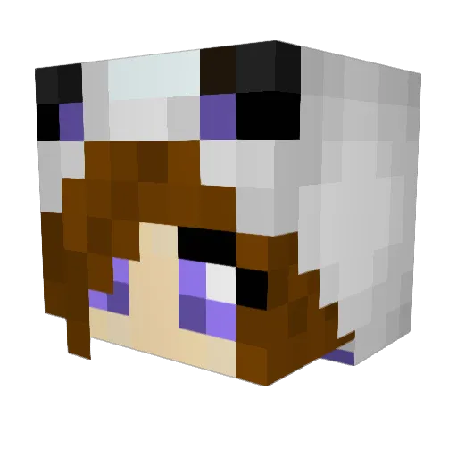 Sweet_Funny Minecraft avatar head, 3D render