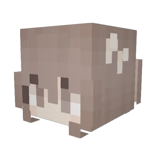Sweet_Hamster15 Minecraft avatar head, 3D render