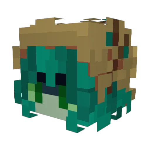 Sweet_Spaghetti Minecraft avatar head, 3D render