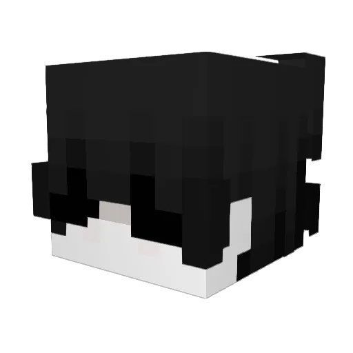 Sweet_cat13 Minecraft avatar head, 3D render