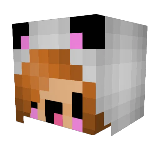 Sweetafiable Minecraft avatar head, 3D render