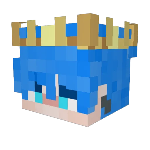 Sweetcornisnicer Minecraft avatar head, 3D render