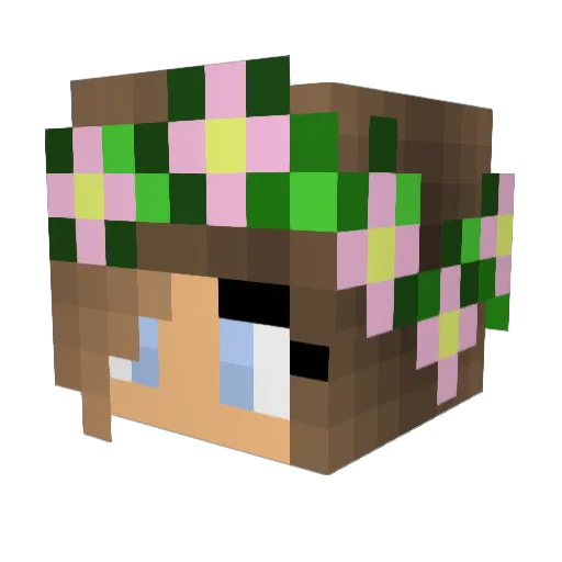 Sweetdft Minecraft avatar head, 3D render