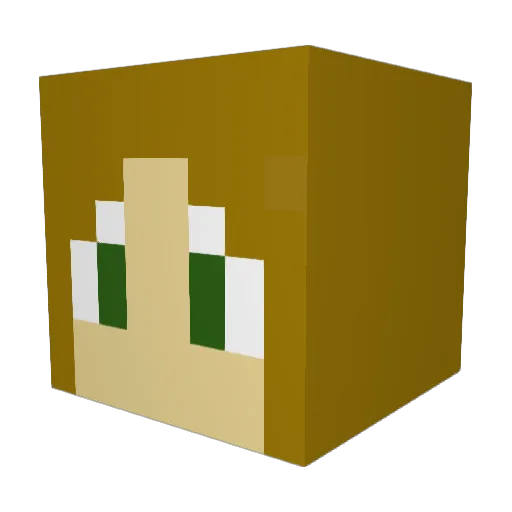 Sweeteepie77 Minecraft avatar head, 3D render