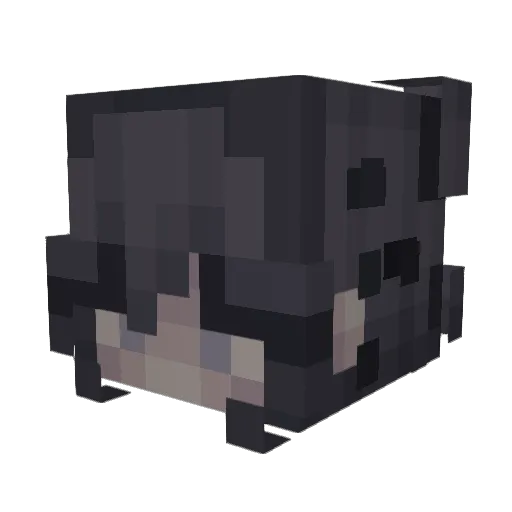 SweetenedPotato Minecraft avatar head, 3D render