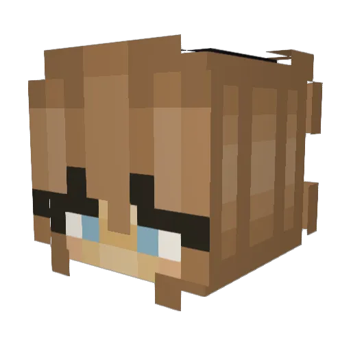 SweetieSoySauce Minecraft avatar head, 3D render