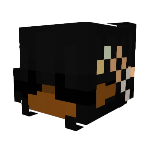 Sweetlily05 Minecraft avatar head, 3D render