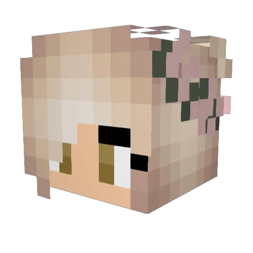 Sweetmochii Minecraft avatar head, 3D render