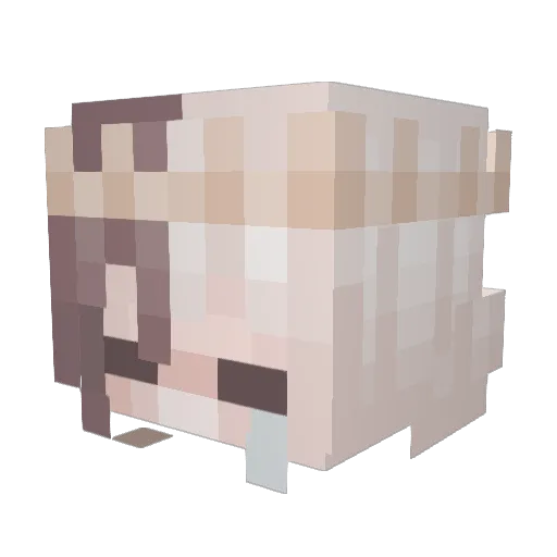 Sweetmochiii Minecraft avatar head, 3D render