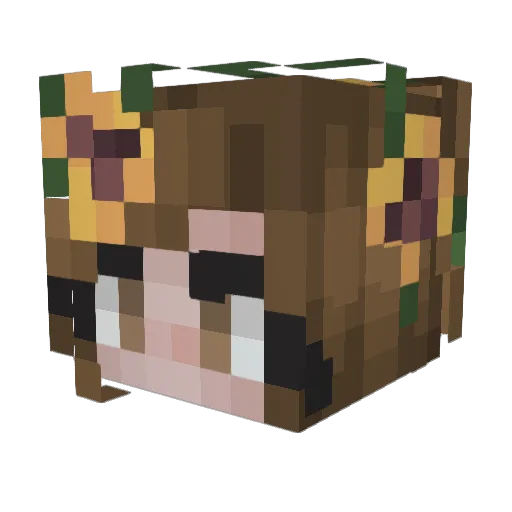 Sweetpotato4756 Minecraft avatar head, 3D render