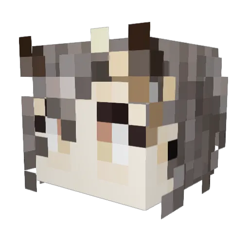 SweetsCoco Minecraft avatar head, 3D render