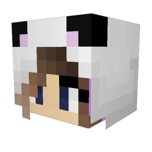 Sweety25 Minecraft avatar head, 3D render