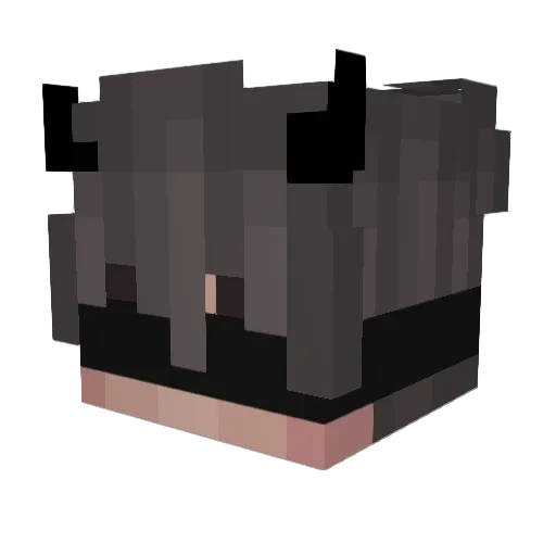 Sweety96 Minecraft avatar head, 3D render
