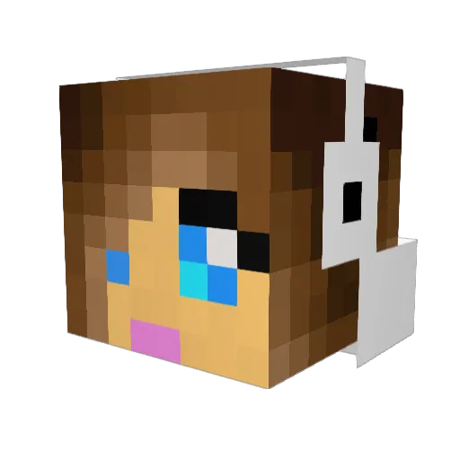 Sweetz404 Minecraft avatar head, 3D render