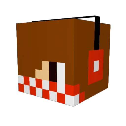 Sweezzle Minecraft avatar head, 3D render