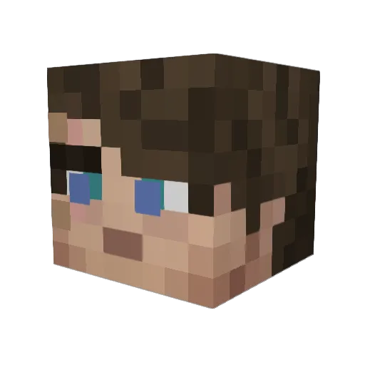 SwegNinja Minecraft avatar head, 3D render