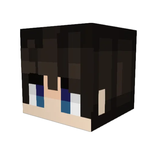 Swejfo_Ressag_xK Minecraft avatar head, 3D render