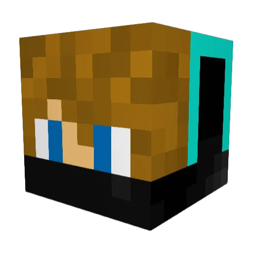 SwellestNewt445 Minecraft avatar head, 3D render