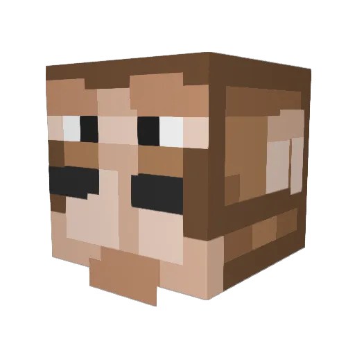 Swenkle Minecraft avatar head, 3D render