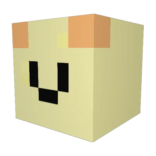 Sweta123 Minecraft avatar head, 3D render