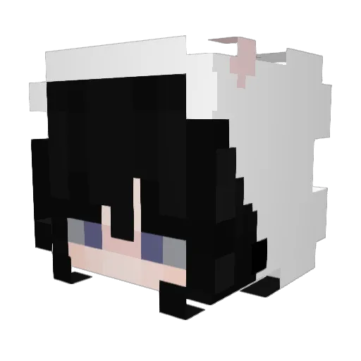 Sweterka Minecraft avatar head, 3D render