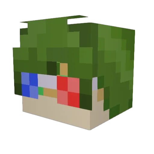 Swetzaan Minecraft avatar head, 3D render