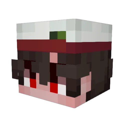 Swids Minecraft avatar head, 3D render