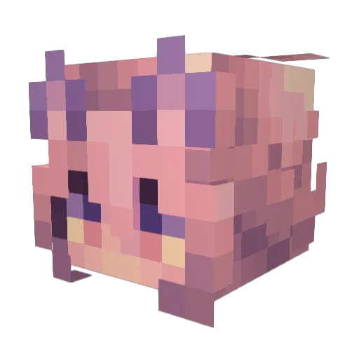 Swiffer467 Minecraft avatar head, 3D render