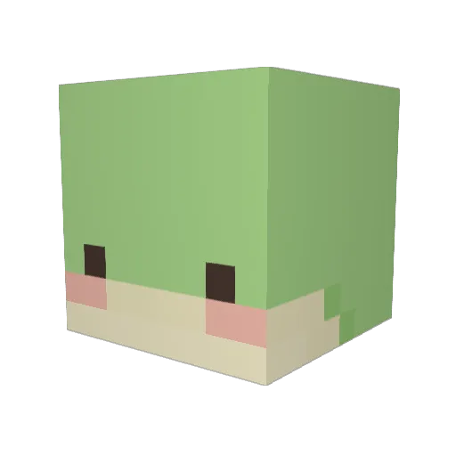 SwiftMcLovin Minecraft avatar head, 3D render