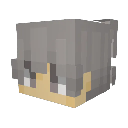 SwiftNova0 Minecraft avatar head, 3D render