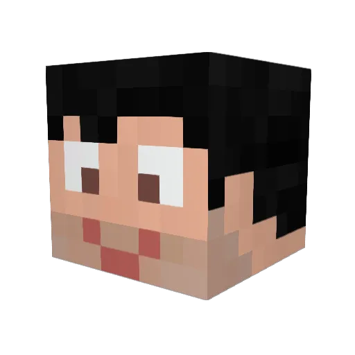 Swift_02 Minecraft avatar head, 3D render
