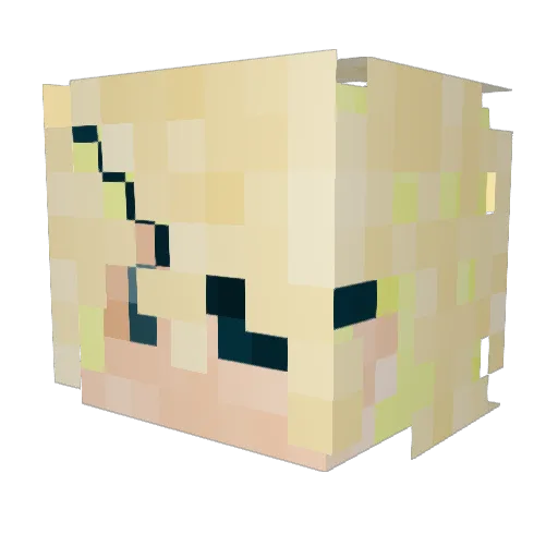 Swift_chickens Minecraft avatar head, 3D render